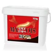 MAGGOTS - LARVICIDE 10 KG